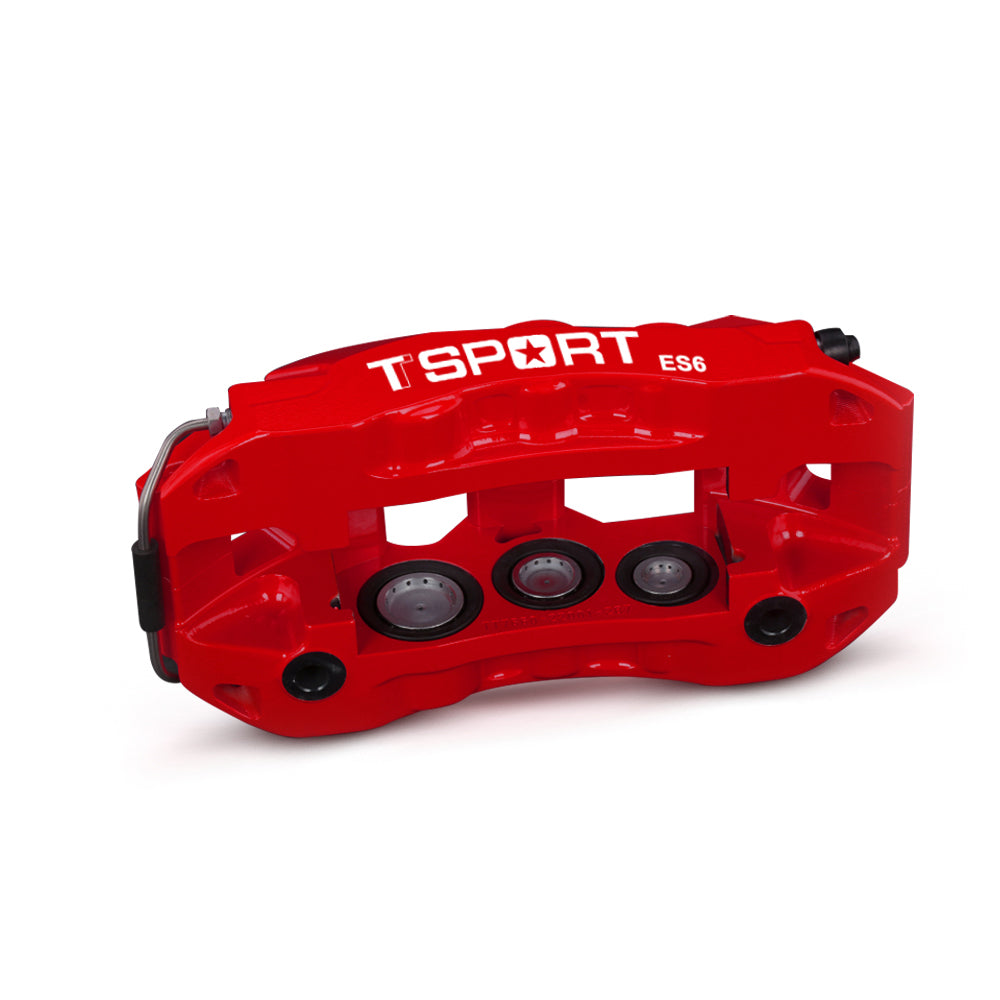 Detailed view of the 6 pistons with dust boot inside a TTSPORT ES6 forged brake caliper.